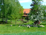 stube gesamt